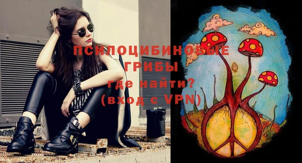 кокс Баксан