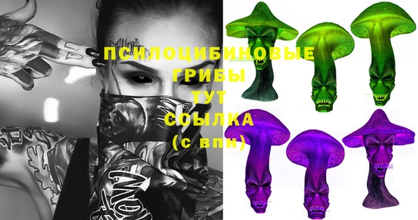 кокс Баксан
