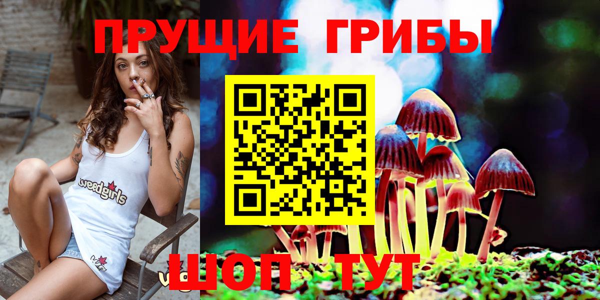 Ульяновск  Псилоцибиновые грибы MAGIC MUSHROOMS  Вход с VPN 
