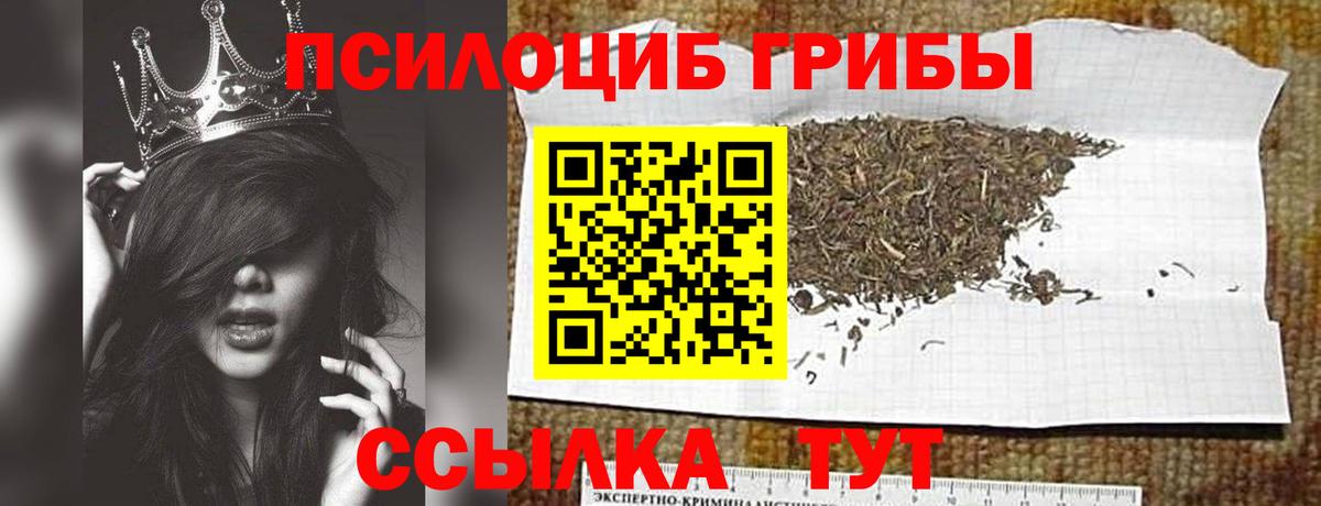 Галлюциногенные грибы прущие грибы Ульяновск
